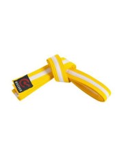 Yellow Belt with White Stripe7